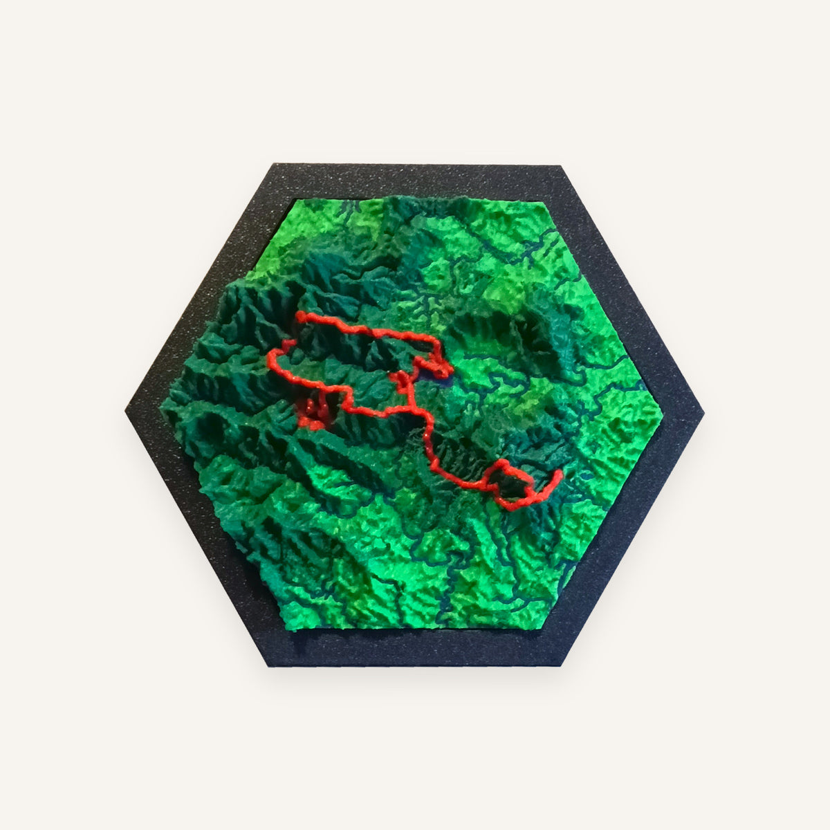 Terrain Tile: green 3D mountain terrain with a raised red route line, in a Navy hexagonal frame
